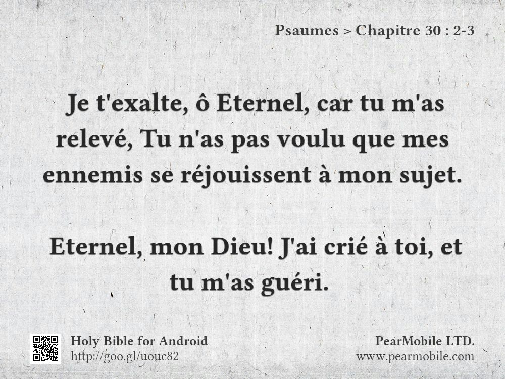 Psaumes, Chapitre 30:2-3